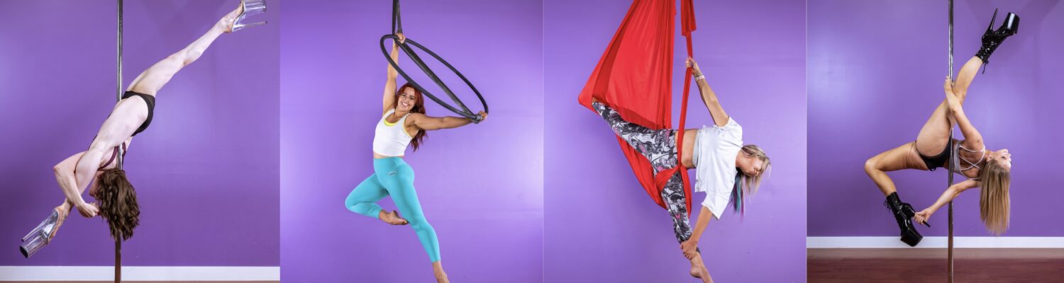 Pole Dance and Aerial Arts Studio